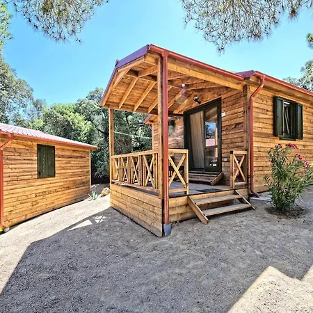 La Mora カルヴィ