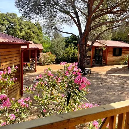 Holiday park La Mora