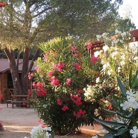 La Mora