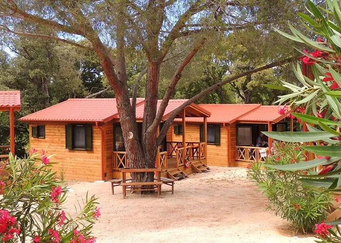 Vakantiepark La Mora *